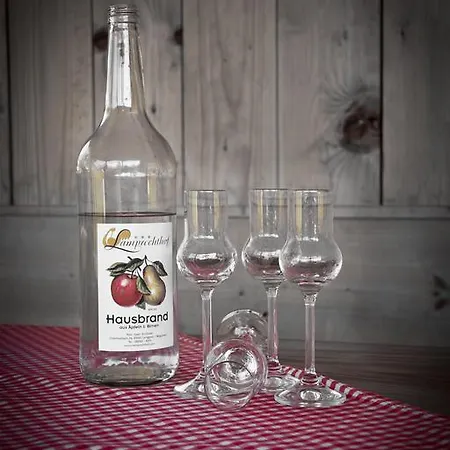 Feriegård Lamprechthof